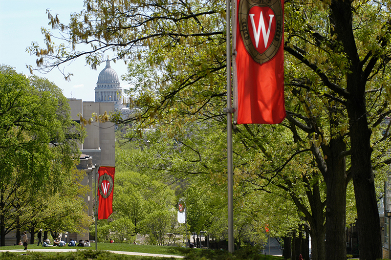 Bascom Hill with W crest banners hanging from poles.